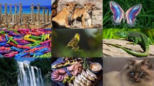 Photo-Album-50.ppsx von Dorota