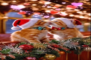 Weihnachtsk�tzchen.mp4 von Felia-1998