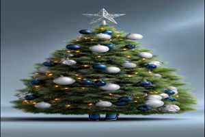 Sch�ne-Weihnachts-B�ume.mp4 von Bastian