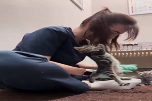 Sie-hat-es-nicht-leicht.mp4 von Bastian