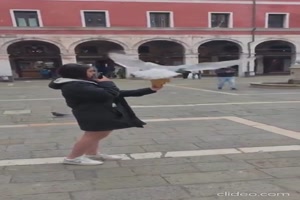 Selber-schuld.mp4 von Ida-1969