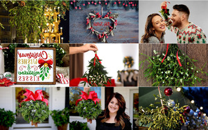 Mistelzweige.ppsx von Zauberfee