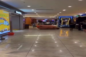 Aufstehen ist nicht einfach