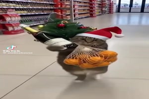 Jetzt-aber-schnell.....mp4 von helvis