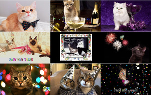 Neujahrs-Katzen.ppsx auf www.funpot.net