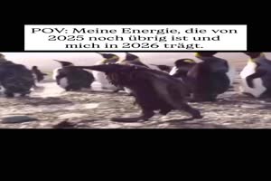 Ziemlich-wenig-Energie.mp4 von Bastian