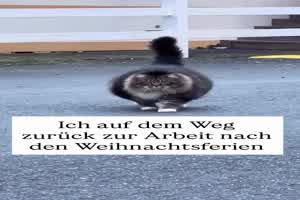 Bisschen schwerer nach den Weihnachtsferien