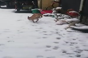 So wenig Ber�hrung mit dem Schnee wie m�glich