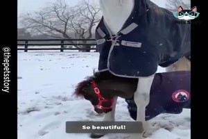 Mutterliebe das starke Band