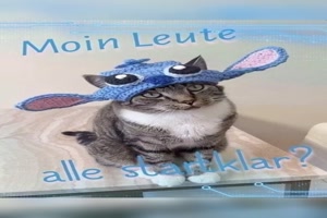 Guten-Start-in-die-Woche.mp4 von Annelie-68