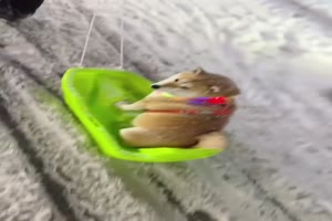 So-l�sst-es-sich-aushalten.mp4 von Annelie-68