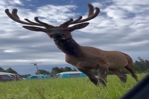 Guten-Morgen---was-machst-du-hier?.mp4 von Benno-2011