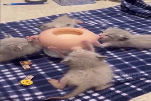 Eine-tolle-Sache.mp4 von Mattis