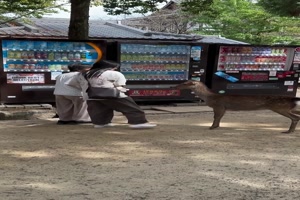 Die-hat-angefangen.mp4 von Carlo2006