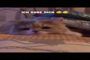 Ich-ohne-dich.mp4 von Lucie37