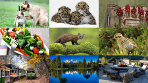 Photo-Album-54.ppsx von Dorota