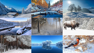 Winter-51.ppsx von Dorota