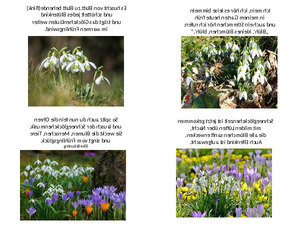 Schneegl�ckchenmusik.pps von Sirene