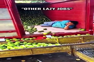 Langweilige-Jobs.mp4 von Roger05