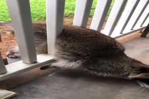 M�hsam,-aber-geht.mp4 von Clarissa