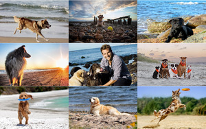 Hunde-am-Strand.ppsx von Queen92