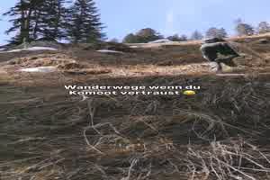 Das-kann-durchaus-passieren.mp4 von Lennox44