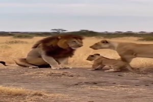 So-nicht-Bursche.mp4 von Lucie37