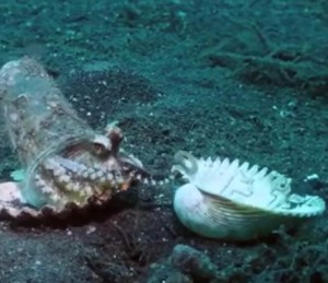 Bessere Versteckm�glichkeit