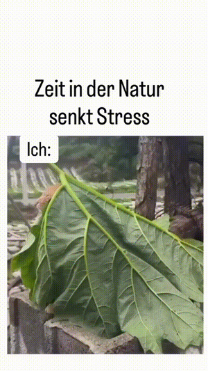 Zeit-in-der-Natur.gif von Lucie37