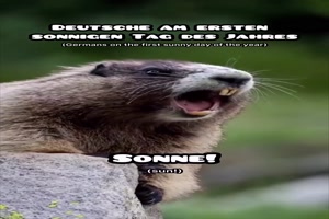 Am-ersten-sonnigen-Tag-des-Jahres.mp4 von Clarissa