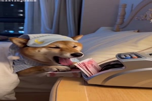 Nette-Abendbesch�ftigung.mp4 von Clarissa