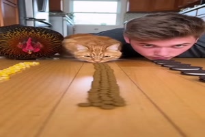 Wer-wird-wohl-gewinnen?.mp4 von Roger05