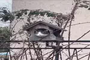 Neuer-Bewohner.mp4 von Carlo2006