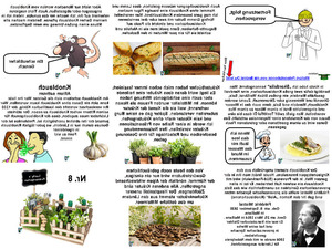 Lucky�s-Kr�utergarten-Nr.-8.pps von lucky