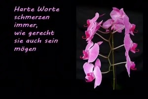 Die-hoechste-Weisheit.mp4 von Roger05