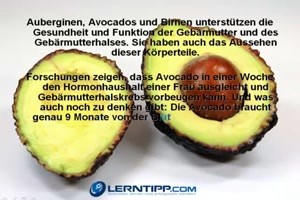 Apotheke-der-natur.mp4 von Fabioma