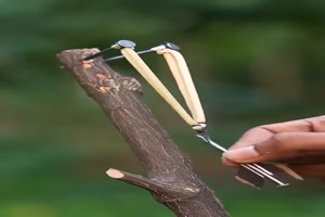 Coole-Schleuder.mp4 von Annelie-68