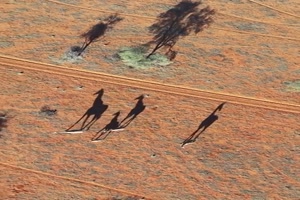 Coole-Schatten.mp4 von Tarik1967