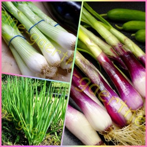 einen Lauchzwiebel-Mix!