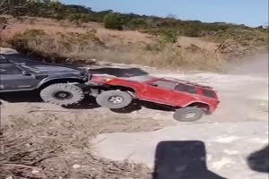 Ach-so-vermehren-die-sich.mp4 von Annelie-68