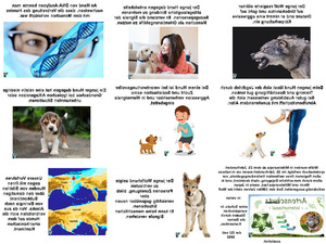 Wie-der-Hund-zum-Menschen-kam.pps auf www.funpot.net