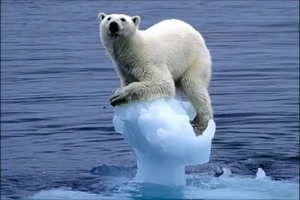 Lass-die-Welt-sich-friedlich-weiterdrehen!.mp4 von helvis