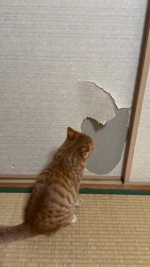 Runter-mit-der-ollen-Tapete.gif von Justus2002