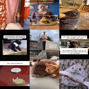 . auf www.funpot.net