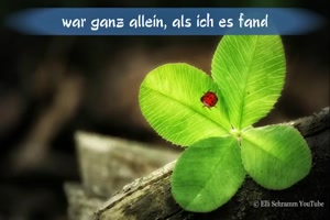 Ein-Kleeblatt-mit-Marienk�fer-soll-dir-Gl�ck-bringen.mp4 von Roger05