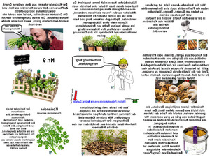 Luckys-Kr�utergarten-Nr.-9.pps von lucky