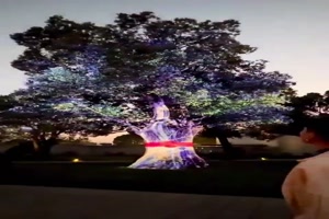 Ein-illuminierter-Baum.mp4 von Brenda22