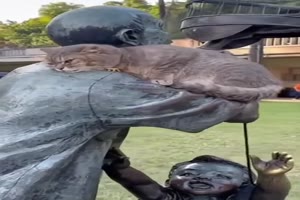 Besonderes-Pl�tzchen-f�r-die-Katze.mp4 von Valentina