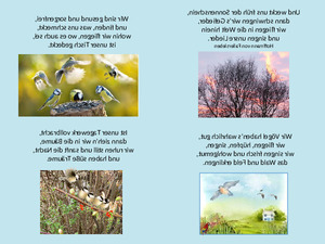 Das-Lied-der-V�gel.pps von Sirene