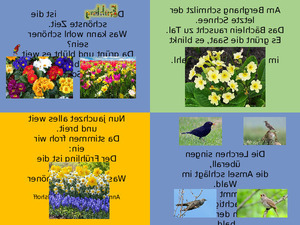 Fr�hlingsgedicht.pps von Sirene